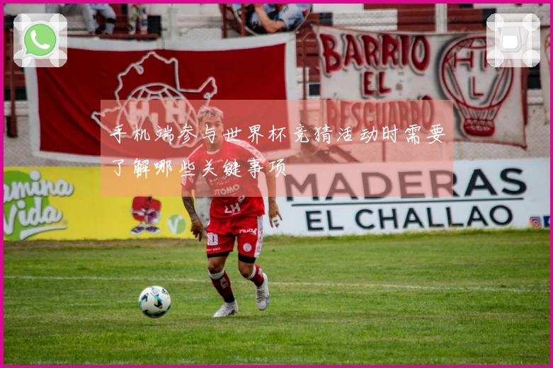 手机端参与世界杯竞猜活动时需要了解哪些关键事项