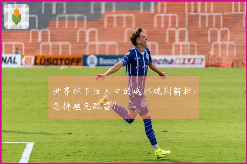世界杯下注入口的返水规则解析，怎样避免踩雷？