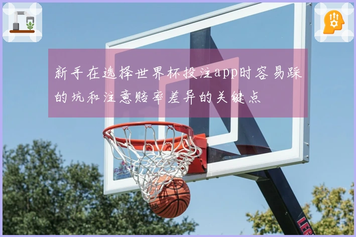 新手在选择世界杯投注app时容易踩的坑和注意赔率差异的关键点
