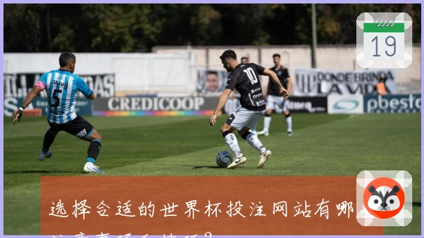 选择合适的世界杯投注网站有哪些注意事项和技巧？