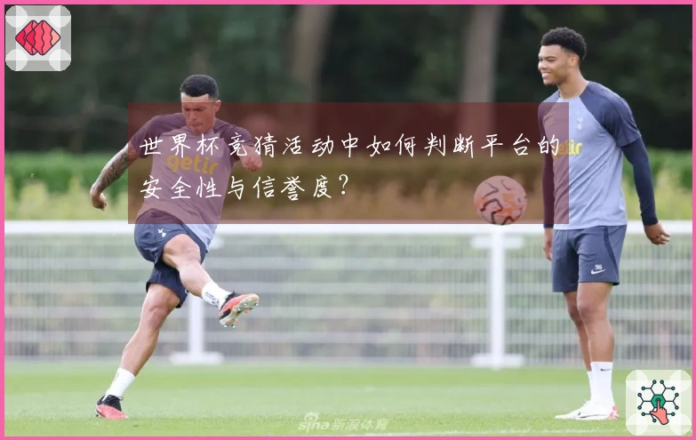 世界杯竞猜活动中如何判断平台的安全性与信誉度？