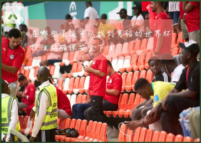 在哪些渠道可以找到可信的世界杯投注站确保安全下注