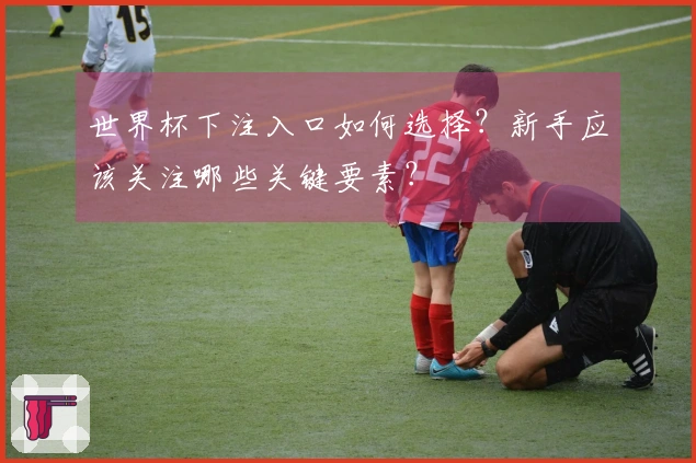 世界杯下注入口如何选择？新手应该关注哪些关键要素？