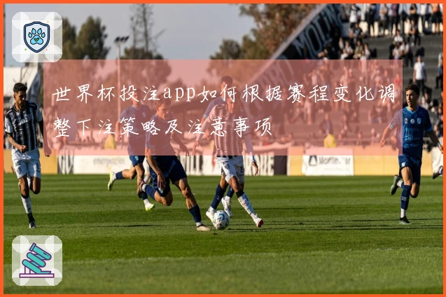 世界杯投注app如何根据赛程变化调整下注策略及注意事项