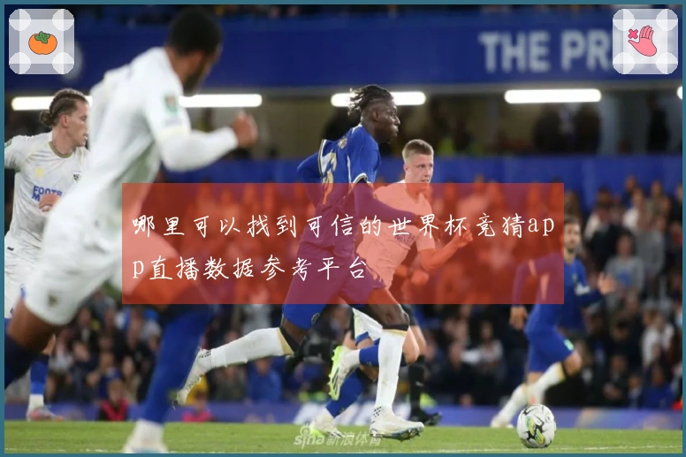 哪里可以找到可信的世界杯竞猜app直播数据参考平台