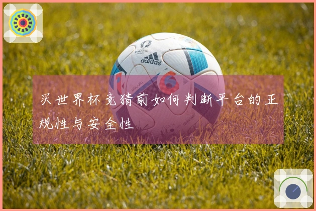 买世界杯竞猜前如何判断平台的正规性与安全性