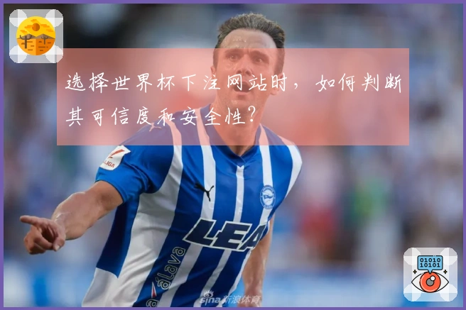 选择世界杯下注网站时，如何判断其可信度和安全性？