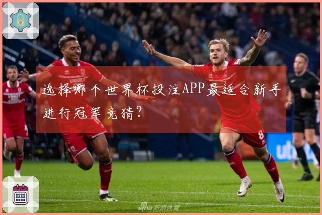 选择哪个世界杯投注APP最适合新手进行冠军竞猜？