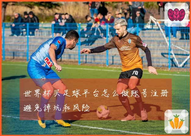 世界杯买足球平台怎么做账号注册避免掉坑和风险