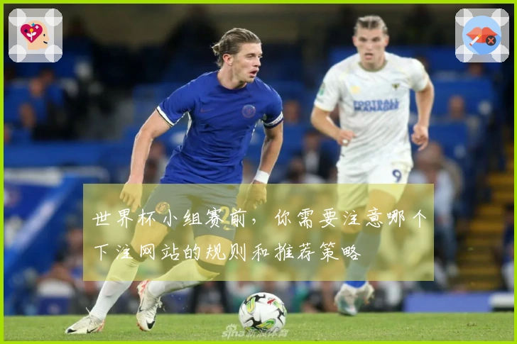 世界杯小组赛前，你需要注意哪个下注网站的规则和推荐策略