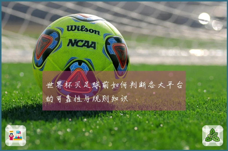 世界杯买足球前如何判断各大平台的可靠性与规则知识