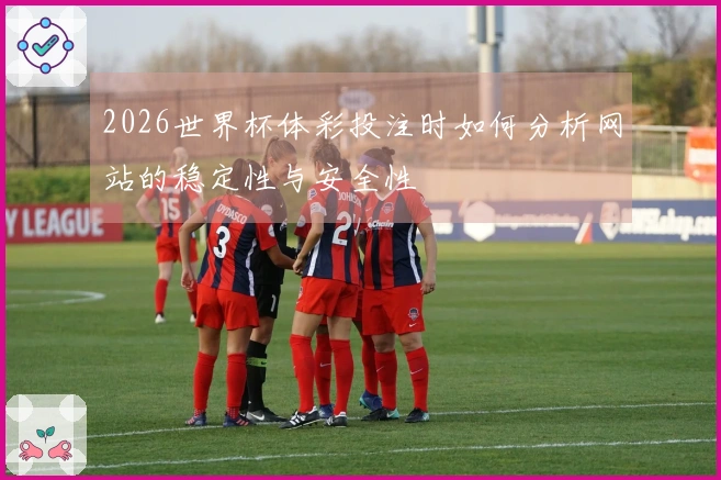 2026世界杯体彩投注时如何分析网站的稳定性与安全性