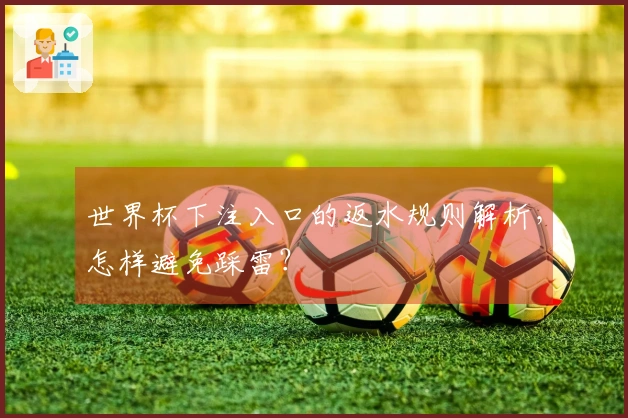 世界杯下注入口的返水规则解析，怎样避免踩雷？