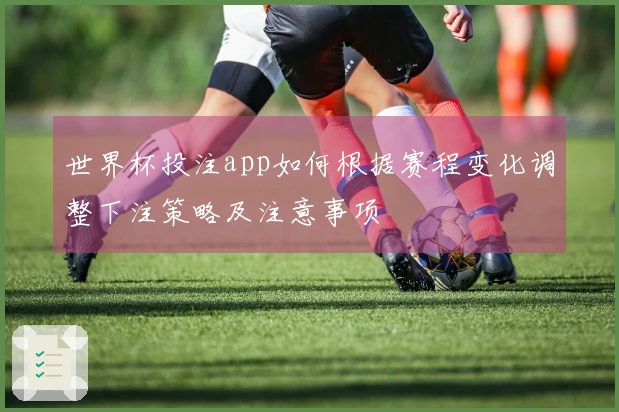 世界杯投注app如何根据赛程变化调整下注策略及注意事项