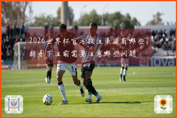 2026世界杯官方投注渠道有哪些?新手下注前需要注意哪些问题