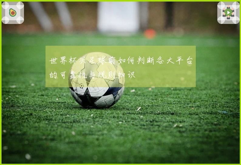 世界杯买足球前如何判断各大平台的可靠性与规则知识