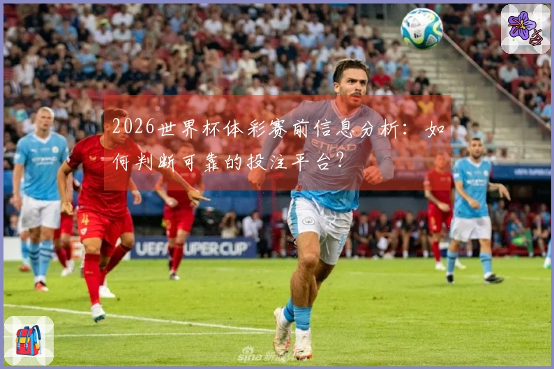 2026世界杯体彩赛前信息分析：如何判断可靠的投注平台？
