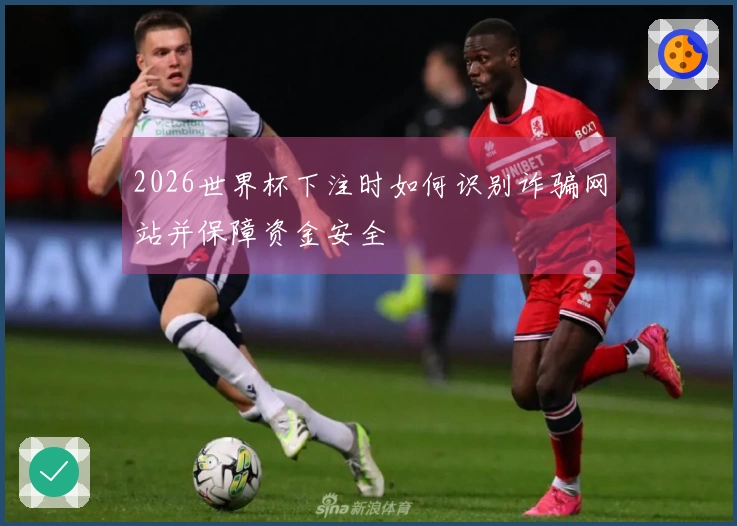 2026世界杯下注时如何识别诈骗网站并保障资金安全