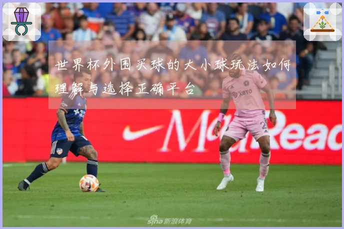 世界杯外围买球的大小球玩法如何理解与选择正确平台